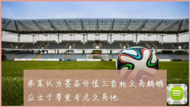 弗莱认为墨菲价值三首轮交易鹈鹕应出于尊重考虑交易他