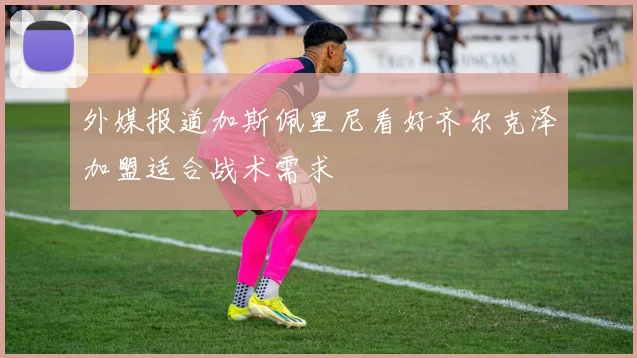 外媒报道加斯佩里尼看好齐尔克泽加盟适合战术需求