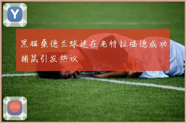 黑猫桑德兰球迷在老特拉福德成功捕鼠引发热议