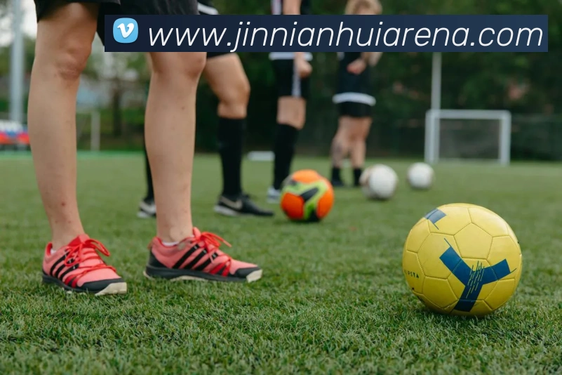 App Interface Preview